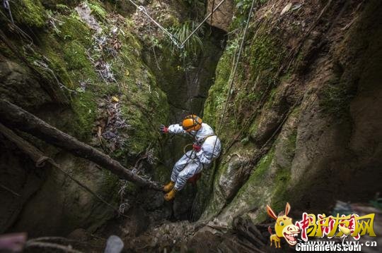 ��ѨЭ���Ա���������������