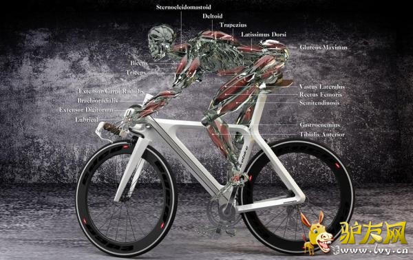 ����ȫ�������г����� �����������¼�