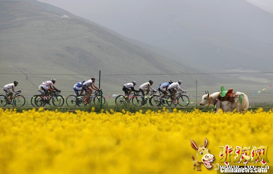 7��1�գ����ຣ�����ʹ�·���г������������Ͳ˻��������С����գ����ຣ�����ʹ�·���г���������������̣����ӽ���ߺ��β����������緢 ���ع� ��