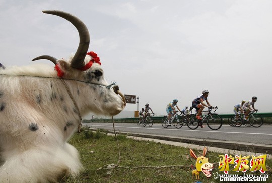 7��1�գ����ຣ�����ʹ�·���г������������Ͳ˻��������С����գ����ຣ�����ʹ�·���г���������������̣����ӽ���ߺ��β����������緢 ���ع� ��