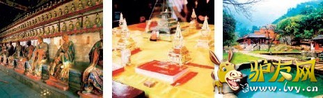 ���׿����Ҹ��ط�ȥ��Ұ ¿�Ѽ��� �ݳ�����