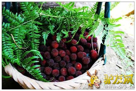 ����ڣ��������ܱ��Լ����жȼ�Ŀ�ĵ��Ƽ�