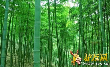 ����ڣ��������ܱ��Լ����жȼ�Ŀ�ĵ��Ƽ�