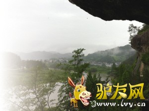 �����е��ɶ�