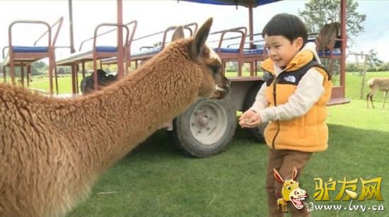 �����ְ�ȥ�Ķ����������� ���޳����������Ҹ�