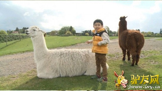 �����ְ�ȥ�Ķ����������� ���޳����������Ҹ�