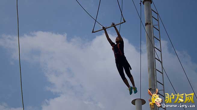 ����ץ����Ŀ����