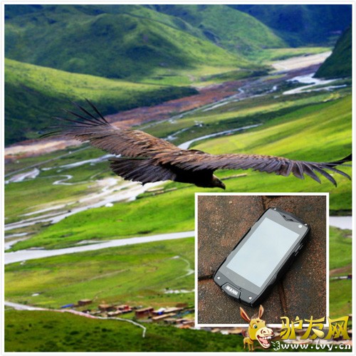 ����רҵ����MANN ZUG 3ֱ������֮��