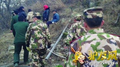 ����11����ɽ�����Ѿȡ� �߷����ṩ