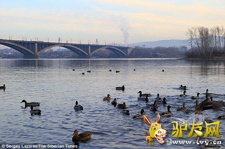 �����ܣ��������Ƕ����������һֱ�ǻ��������϶����ϣ��Ұ��н���