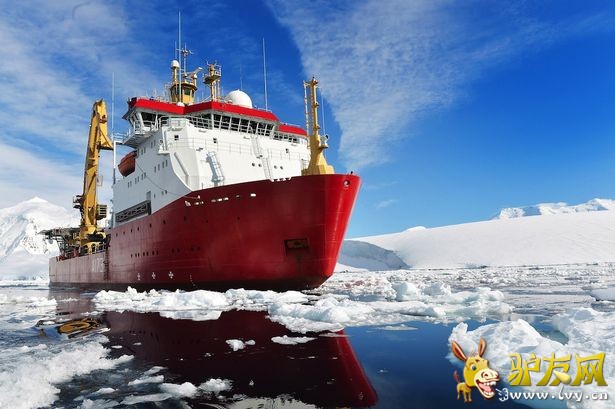 Ӣ�ʼҺ����Ʊ�����Ա�ϼ����ܶ���ʥ����