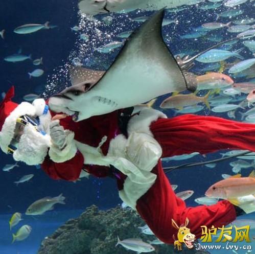 �ձ�Խǰ�ɵ�ˮ��ݵ�ˮ�С�ʥ�����ˡ���