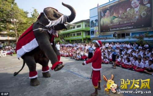 ��̩����ѵ��Ա�����ˡ�ʥ�����ˡ��ķ�װ��������������������װ��