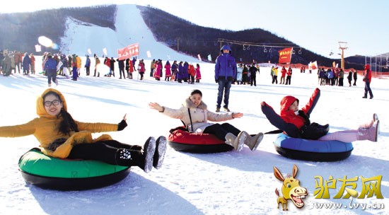 �°Ͷ�����Ͷ����������