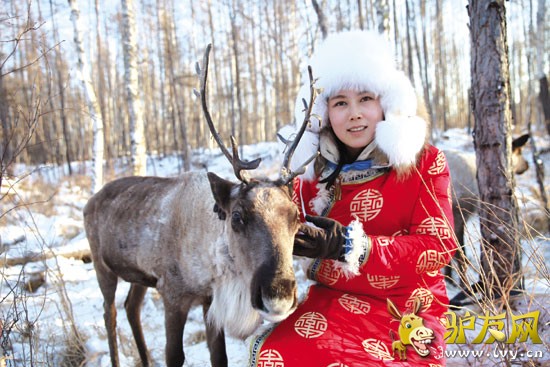 �°Ͷ�����Ͷ����������