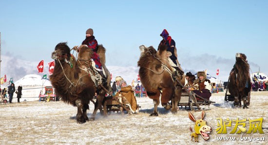 �°Ͷ�����Ͷ����������