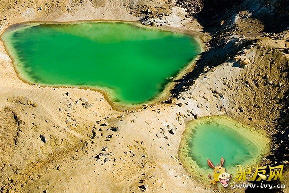 �������޹��ҹ�԰