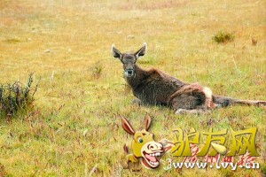 ���ȱ�ҧ�ϵ���¹��