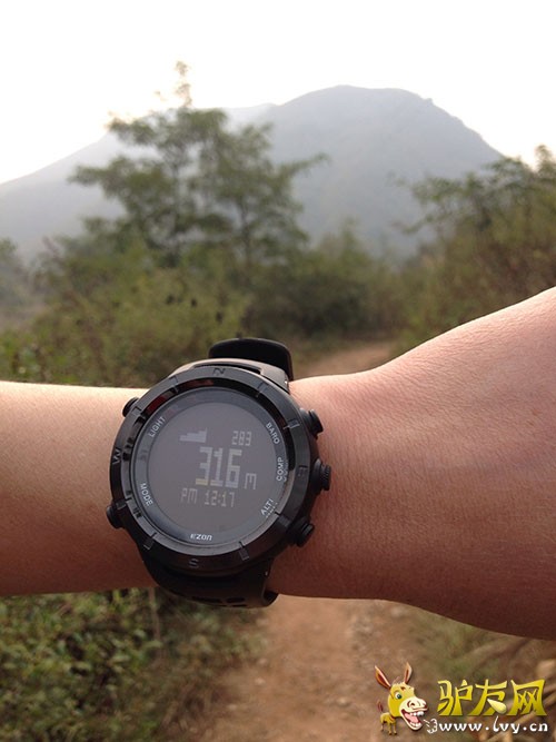 ��ֳ����θ߶�