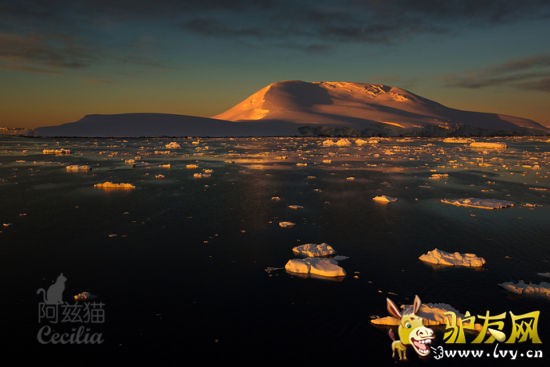 �����ϼ�Ӱ������è