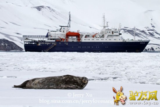 �����ϼ�Ӱ������è