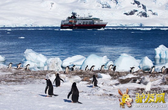 �����ϼ�Ӱ������è