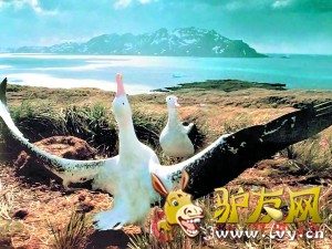 �ಿ�������족��¼Ƭ�����������˹����