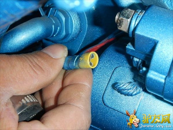 ���������ֹ���