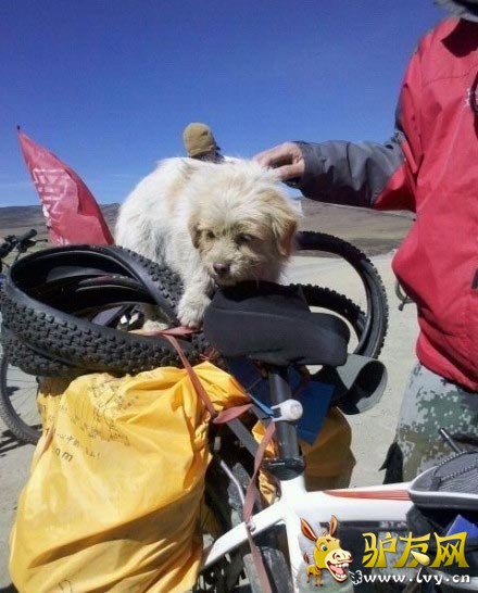 һֻ������־�򣬷�ɽԽ��ȥ������¿��һ·������������Ӱ��