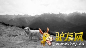 ���˹�����¿�ѱ���ǧ�๫�� ������ظ�ԭ�ж�����