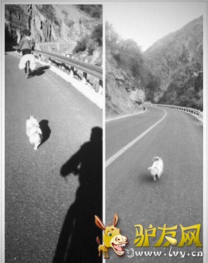 ���˹�����¿�ѱ���ǧ�๫�� ������ظ�ԭ�ж�����