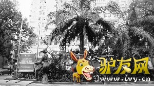 锦里。
