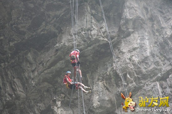 �˶�Ա�ٽ���