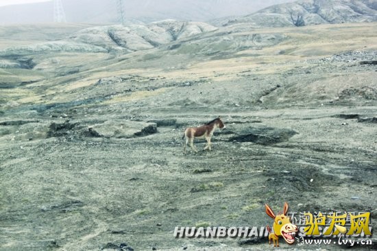 ������������ר��6��4������6ʱ������һȺ������ͳ�������ɽ�ڷ�������̲��