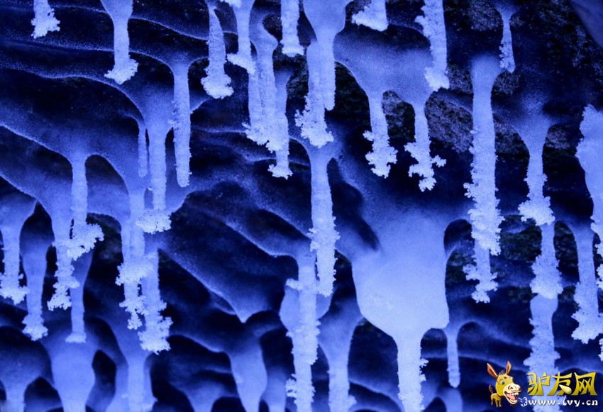 ���Ϻ��º�����Ѩ�������������