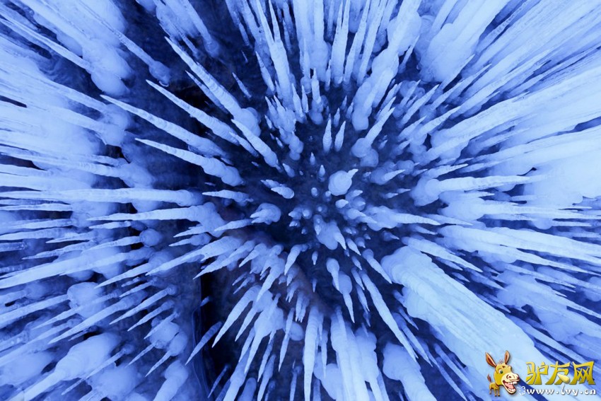 ���Ϻ��º�����Ѩ�������������