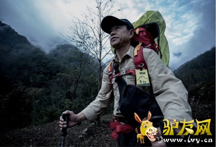 2013����鲨�Ŷ�ͽ����Խ��ƽ�ŵ�