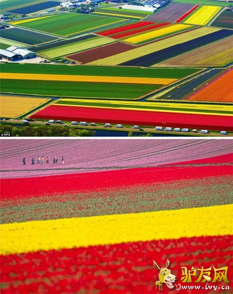 �˼��澰 ȫ��ʮ�󲻿�˼����ʵ�λ�֮��