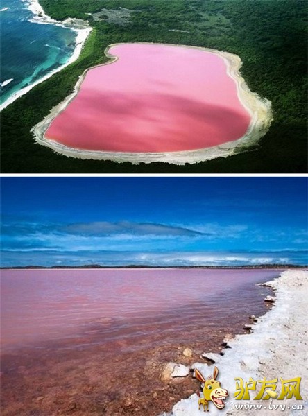 �˼��澰 ȫ��ʮ�󲻿�˼����ʵ�λ�֮��