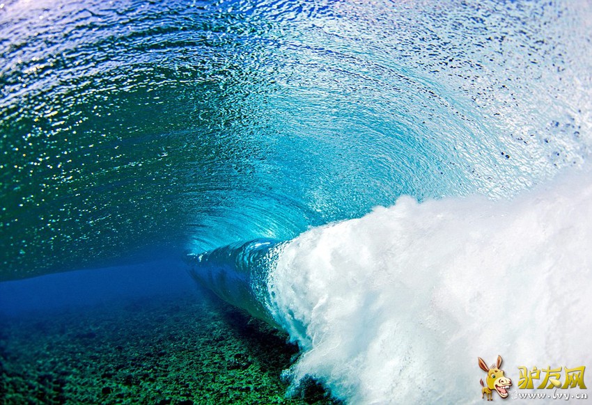 ��Ӱʦˮ��ð��������������� ���澪�Ķ���