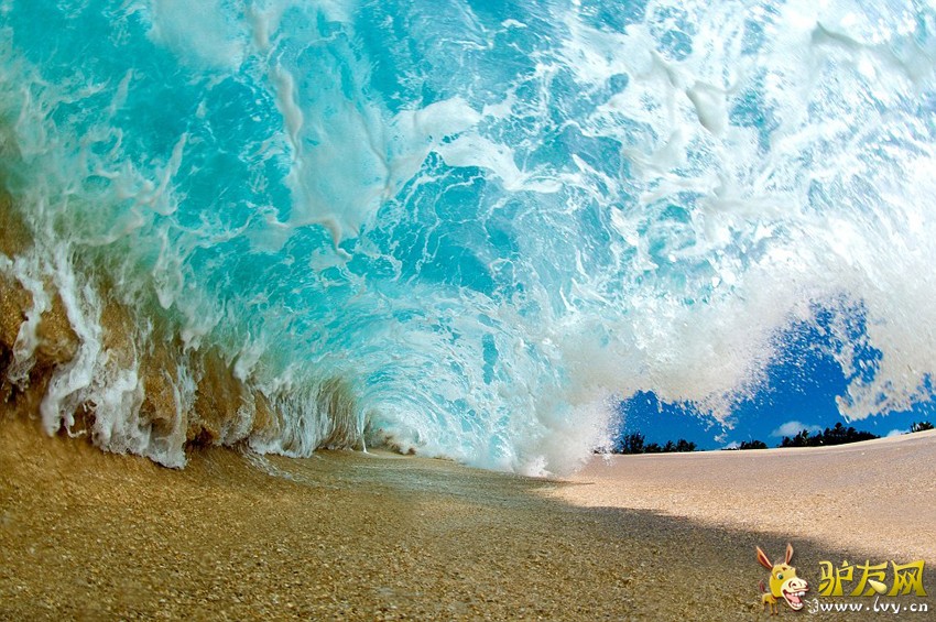 ��Ӱʦˮ��ð��������������� ���澪�Ķ���