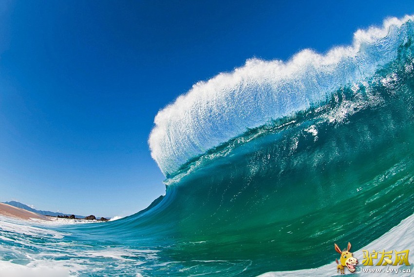 ��Ӱʦˮ��ð��������������� ���澪�Ķ���