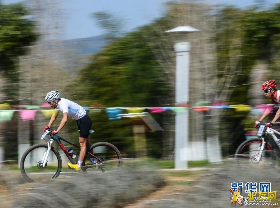 �㽭���˾ٰ�ɽ�����г�ԽҰ��ս��