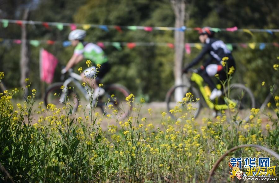 �㽭���˾ٰ�ɽ�����г�ԽҰ��ս��