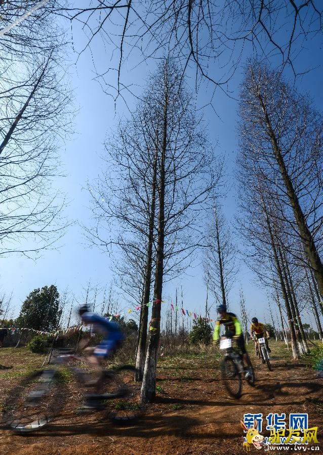 �㽭���˾ٰ�ɽ�����г�ԽҰ��ս��