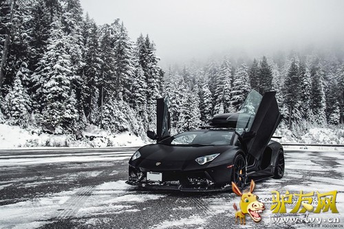 ��ѩר�� SR Auto����������Aventador