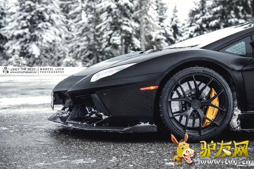 ��ѩר�� SR Auto����������Aventador