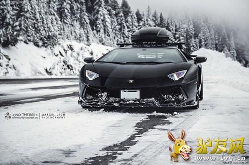 ��ѩר�� SR Auto����������Aventador