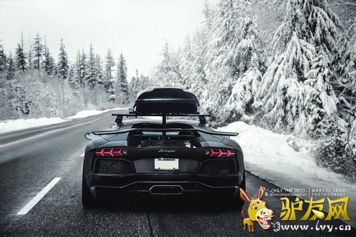 ��ѩר�� SR Auto����������Aventador