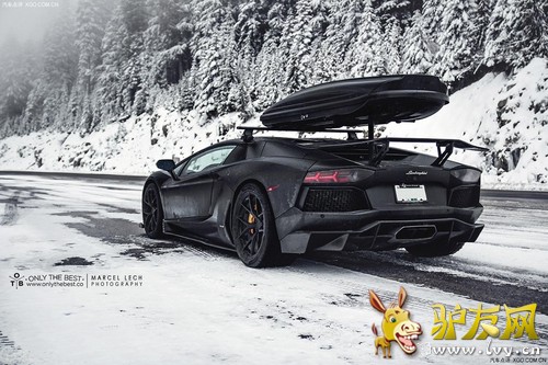 ��ѩר�� SR Auto����������Aventador